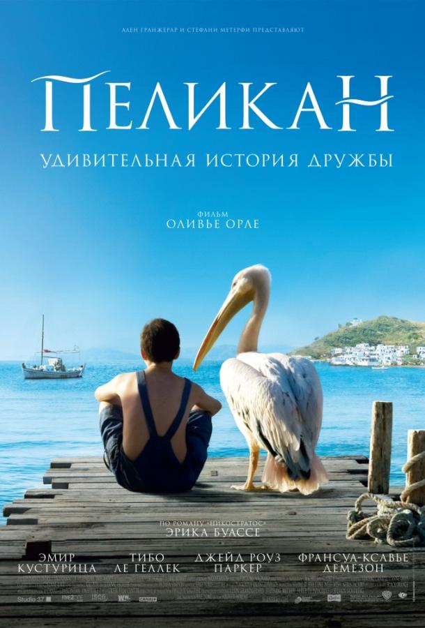 Фильм Пеликан (2011) смотреть онлайн